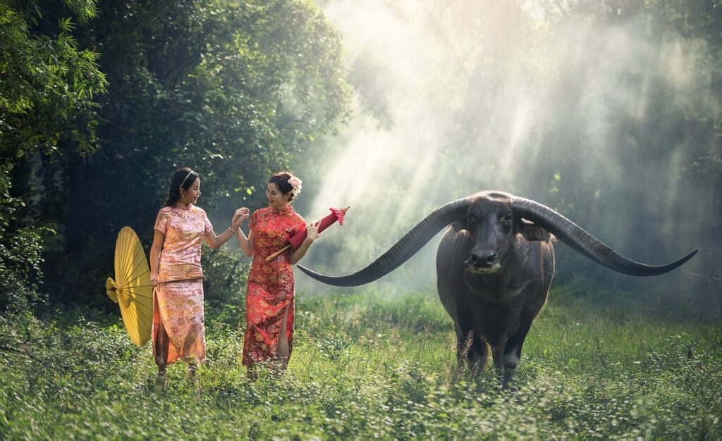Een rondreis door wonderlijk Thailand